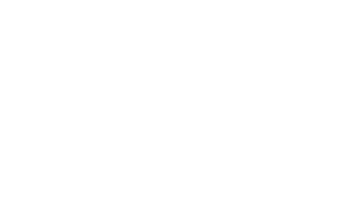 Southeastern-Grocers-2